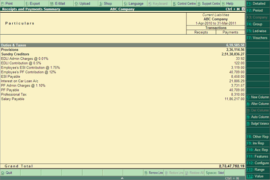 Receipts Payments Group Summary Reports