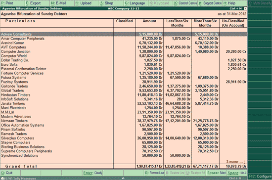 agewise-bifurcation-of-sundry-debtors