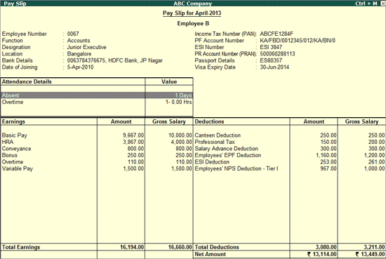 Single Pay Slip