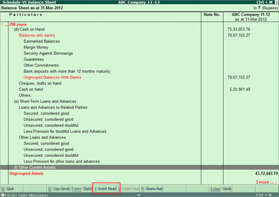 inserting-and-renaming-heads-in-schedule-vi-balance-sheet-india