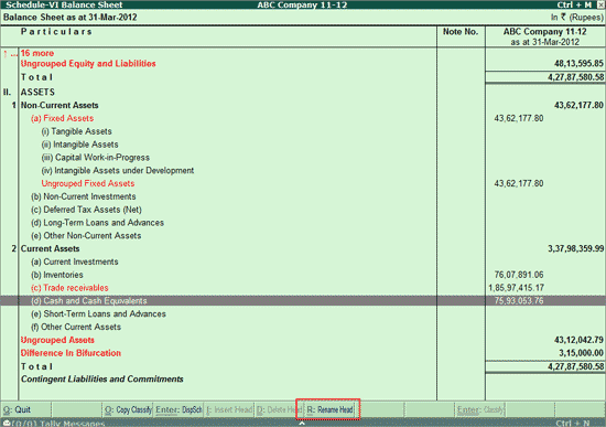 Inserting And Renaming Heads In Schedule VI Balance Sheet India 