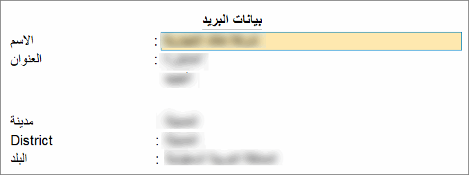Party Details in Arabic for e-Invoicing Under e-Invoice Integration Phase